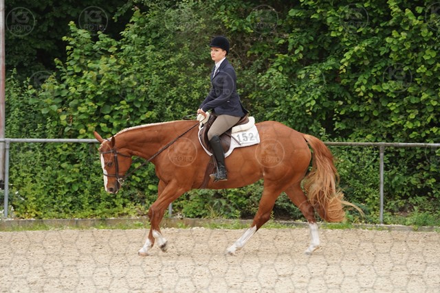 sA9K09976.JPG